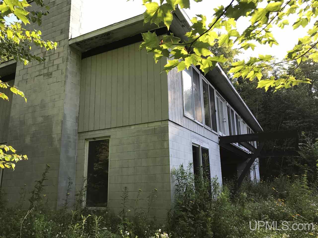 4229 Haywire Lake Road Republic, MI 49879 - Photo 24 of 26