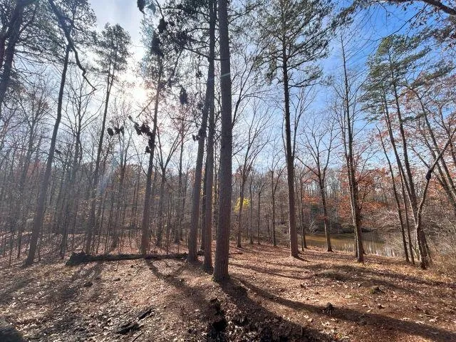 a backyard of a house with lots of trees