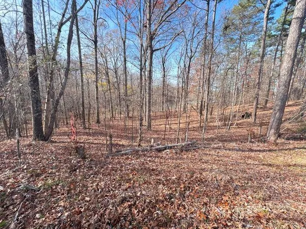 a view of covered with trees