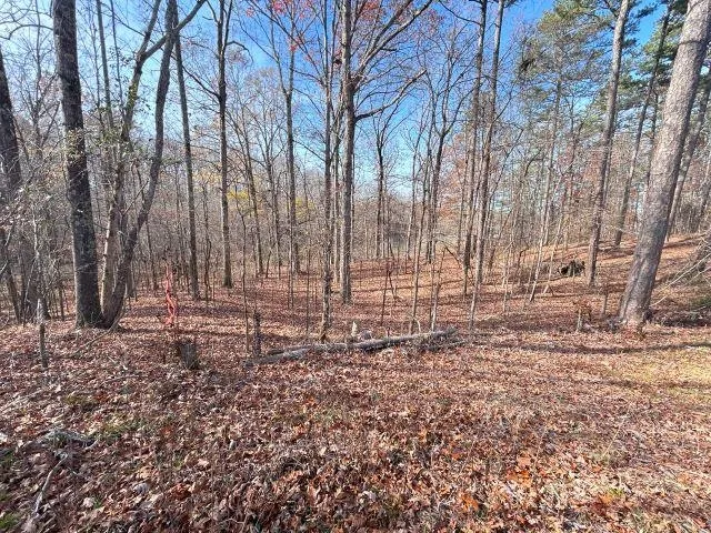 a view of covered with trees