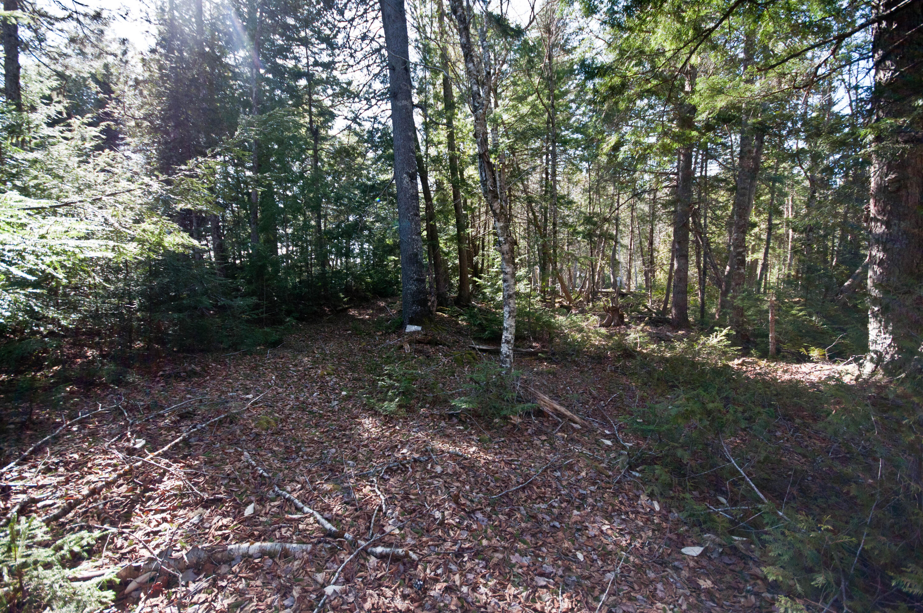 98 Beavers Road Sullivan, ME 04664 - Photo 16 of 22 untitled-1-2