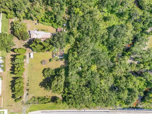 a view of a tree in a yard