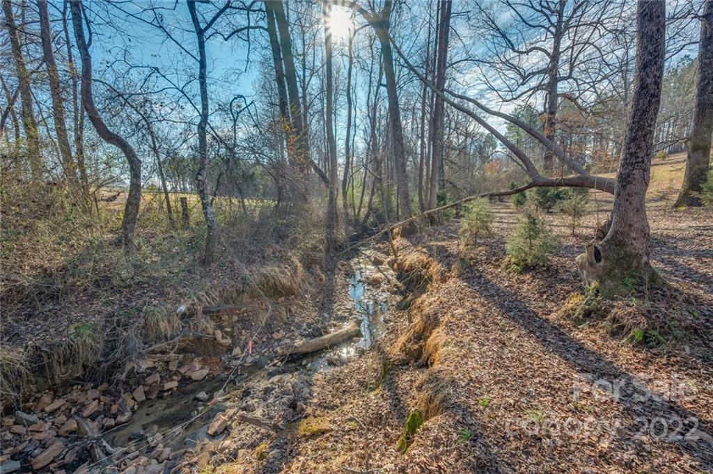 265 Mc Dowell Road Columbus, NC 28722 - Photo 6 of 40 Gallery Image 6