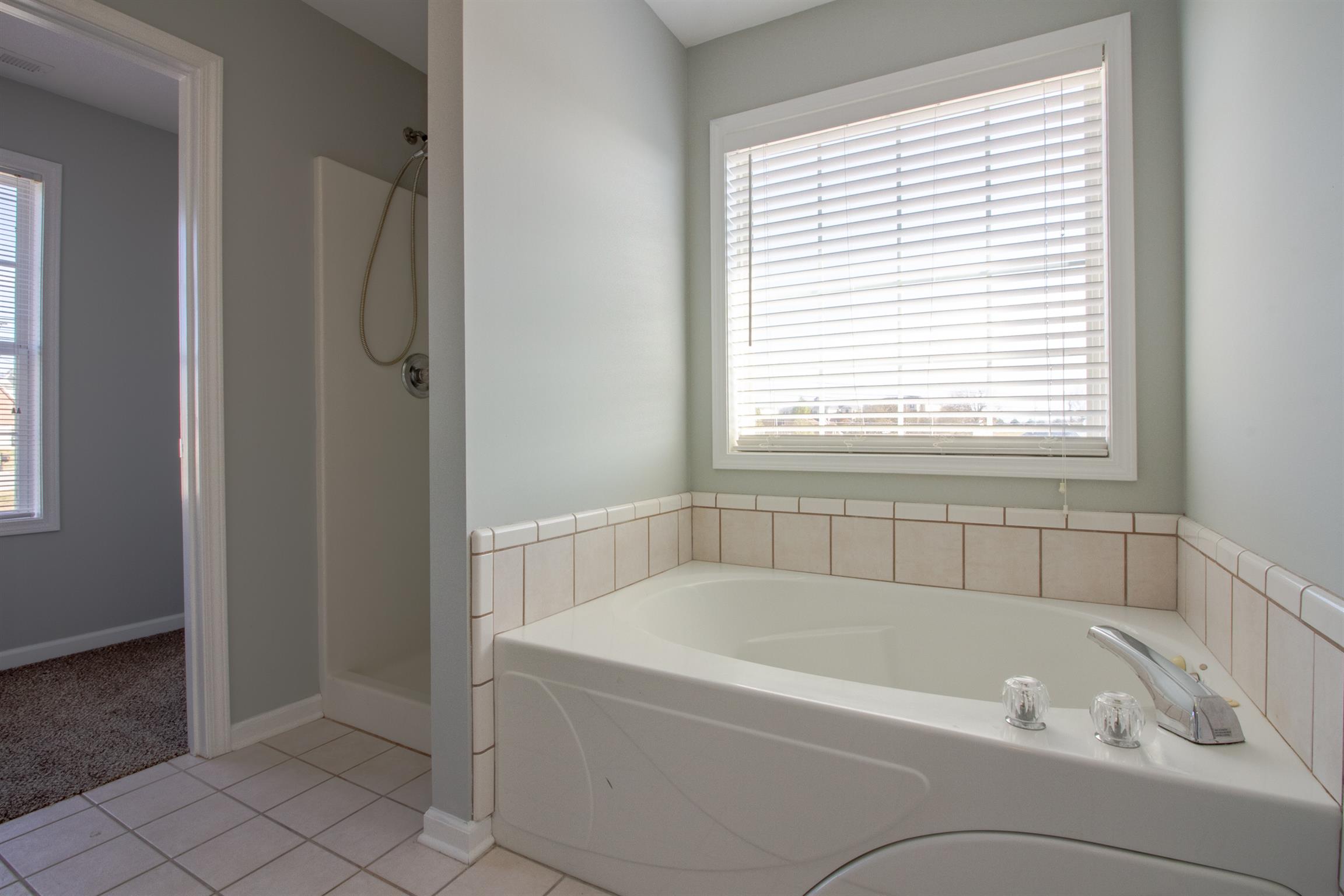 1850 Twin Rivers Road Clarksville, TN 37040 - Photo 12 of 27 Separate Shower & Bath