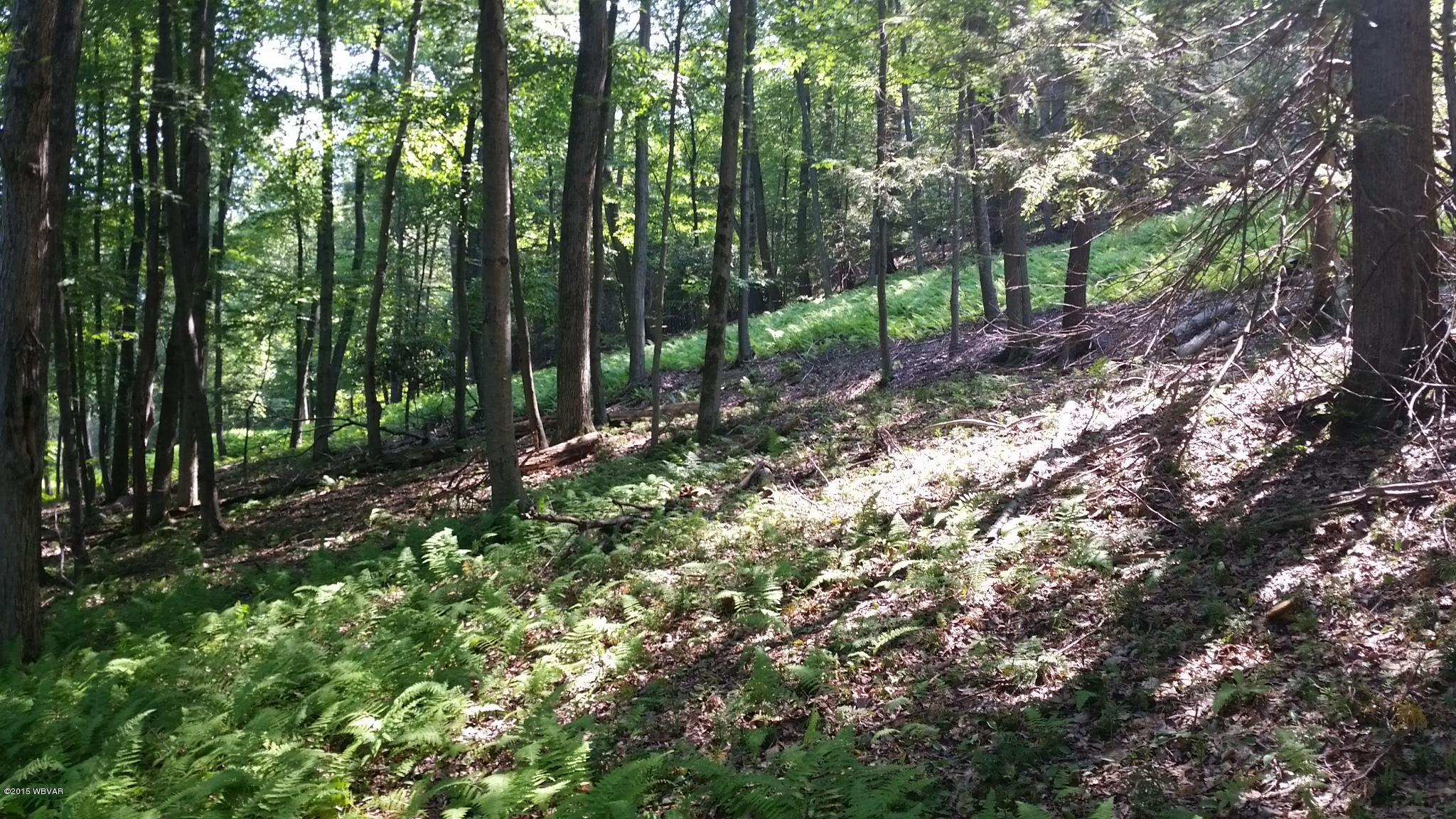 1007 River Road Muncy, PA 17756 - Photo 12 of 35 728