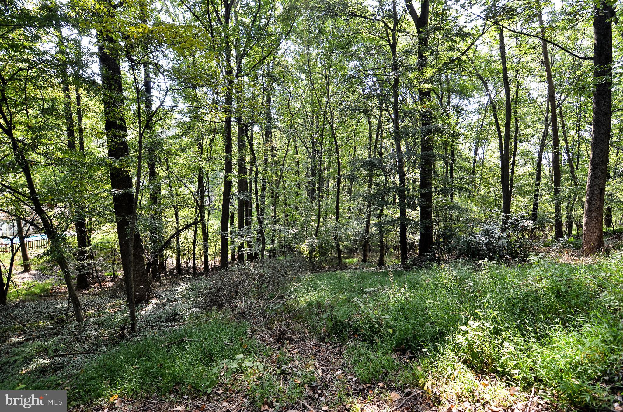 20612 Bell Bluff Road Gaithersburg, MD 20882 - Photo 41 of 41 Parkland.