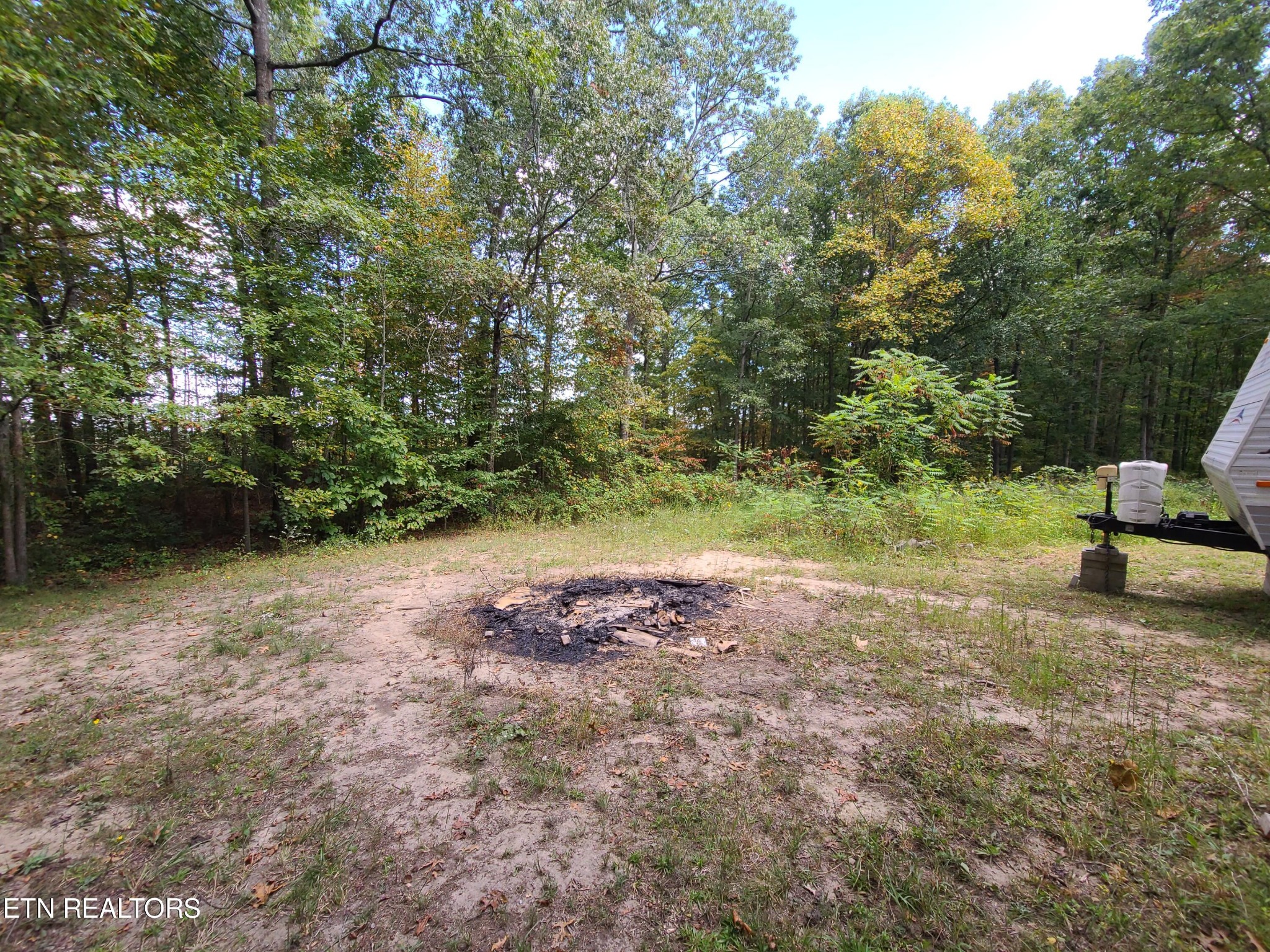 148 George Young Road Jamestown, TN 38556 - Photo 13 of 30 a view of a field with trees in the background