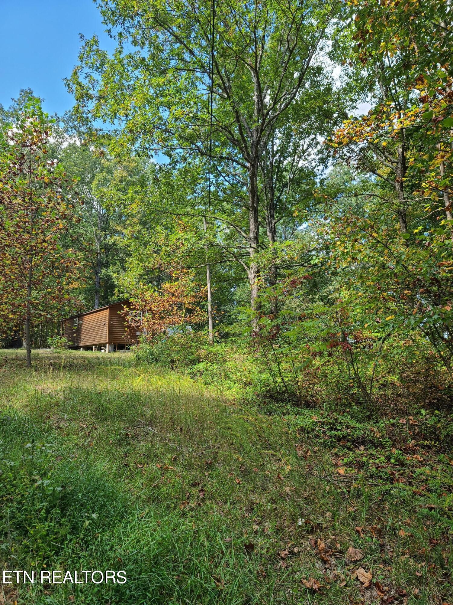 148 George Young Road Jamestown, TN 38556 - Photo 18 of 30 a backyard of a house with trees and plants