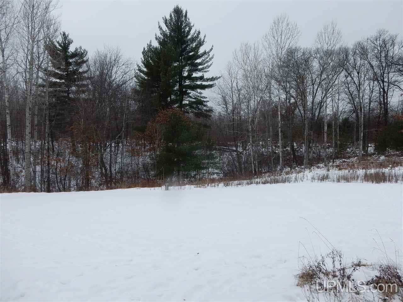 1908 North Lake Road Florence, WI 54121 - Photo 14 of 15 Gallery Image 14