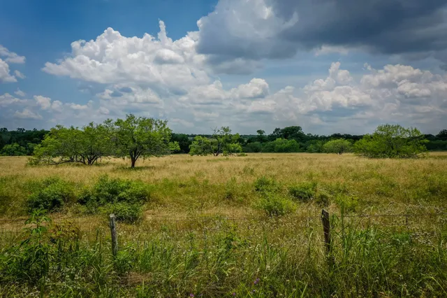 a view of a lake with a big yard and large trees