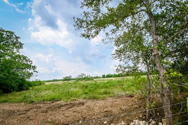 a backyard of a house with lots of green space