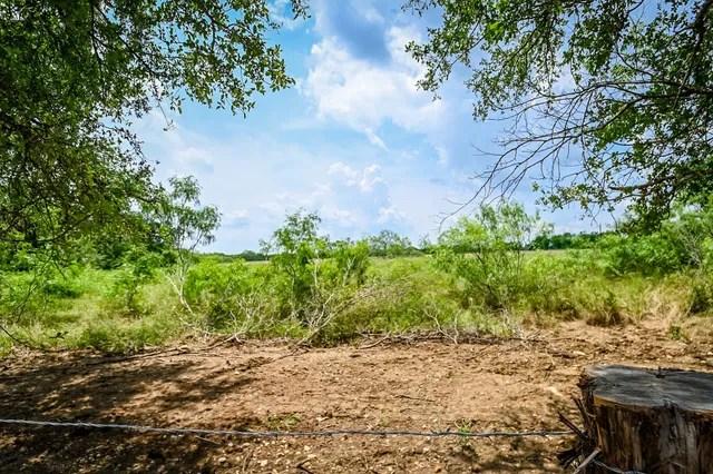 a view of backyard with green space