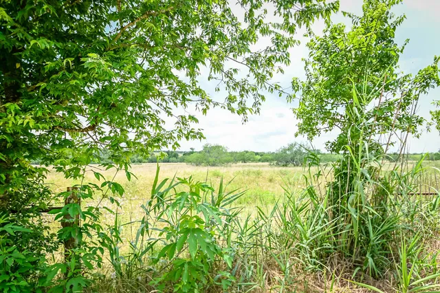 a view of an outdoor space and a yard