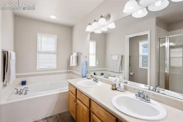 a bathroom with a tub a sink double vanity and a mirror