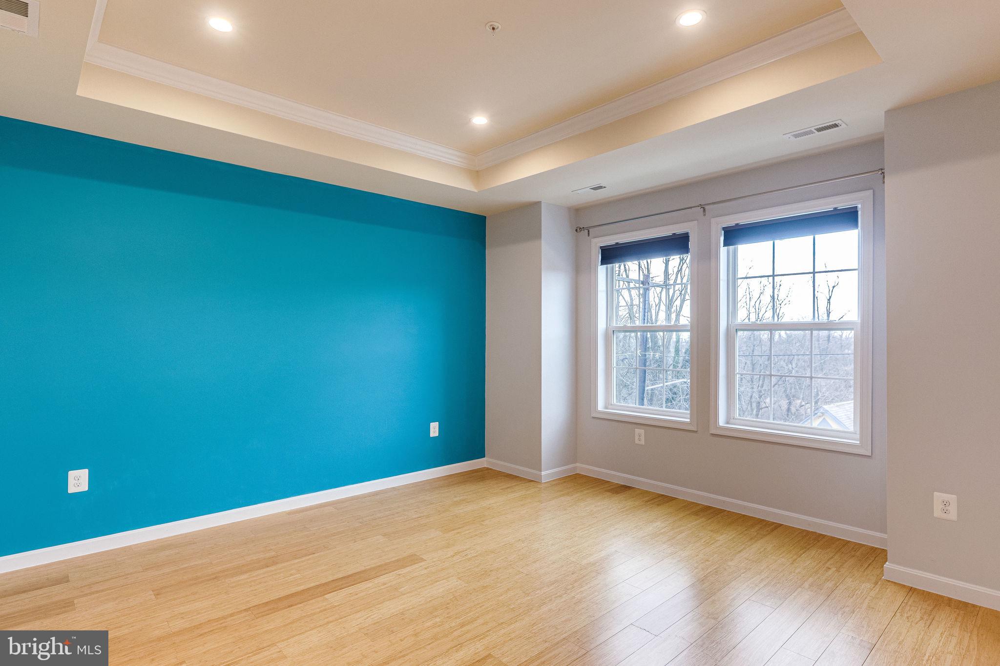 2508 Elvans Road Southeast Washington, DC 20020 - Photo 30 of 45 Primary suite with tray ceiling.