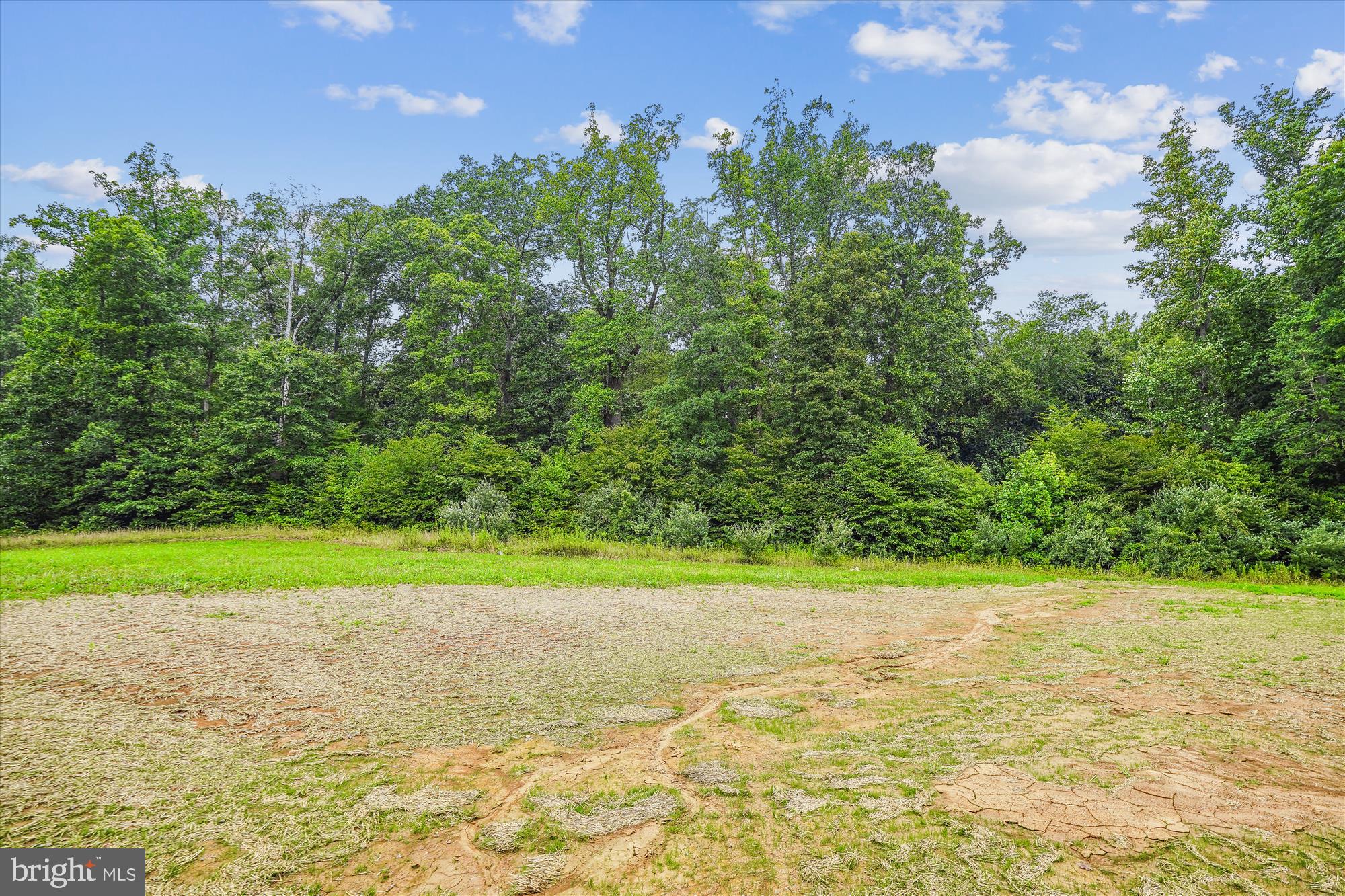 9 Ryland Chapel Road Rixeyville, VA 22737 - Photo 8 of 84 View From Back