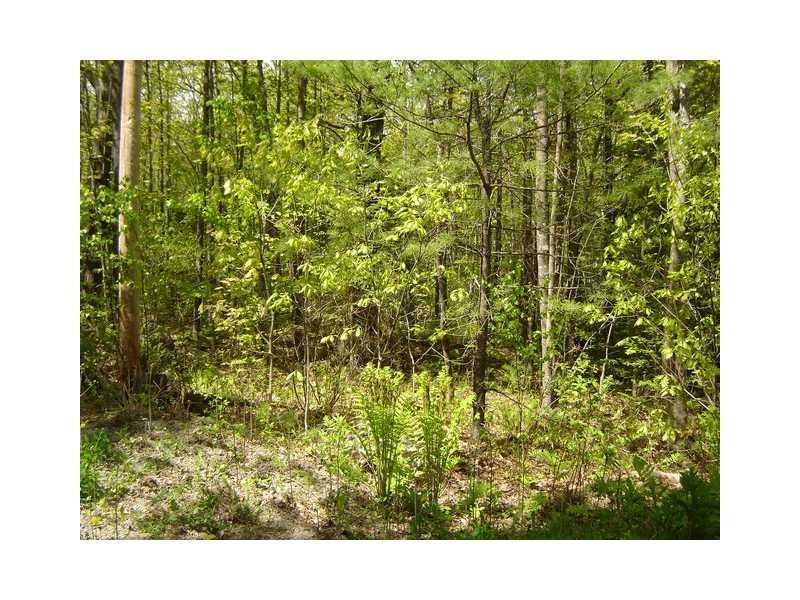 Lot 285 Spruce Road Rome, ME 04963 - Photo 2 of 6 Land/Lot.