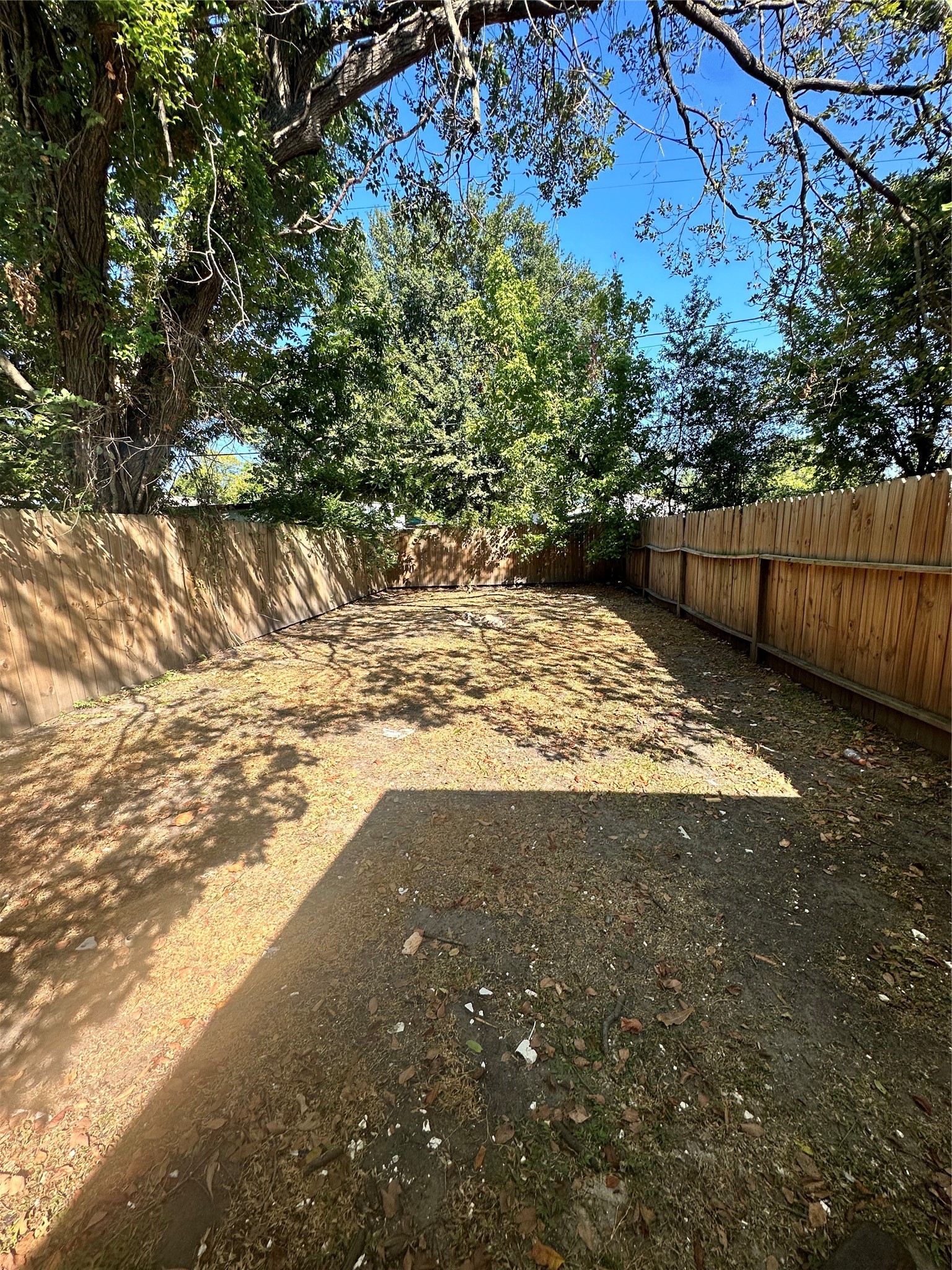 978 Ringold Street, Unit B Houston, TX 77088 - Photo 12 of 12 a view of a yard