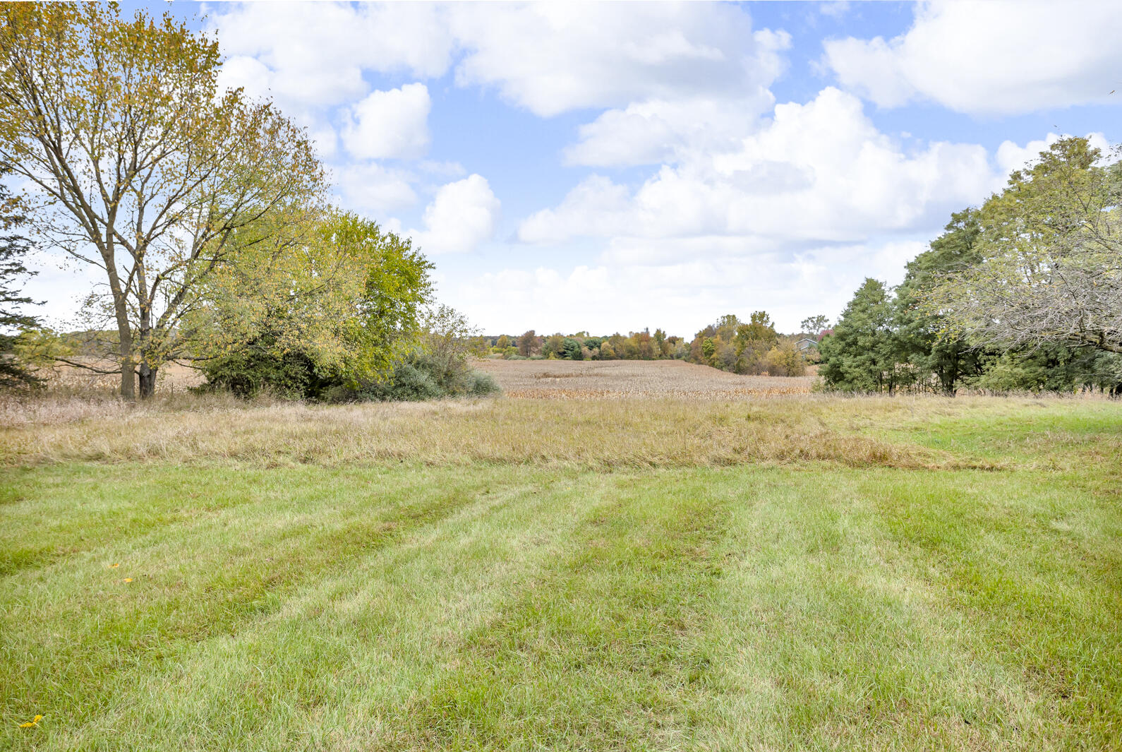 13868 Phal Road Grass Lake, MI 49240 - Photo 6 of 50 0N0A9643