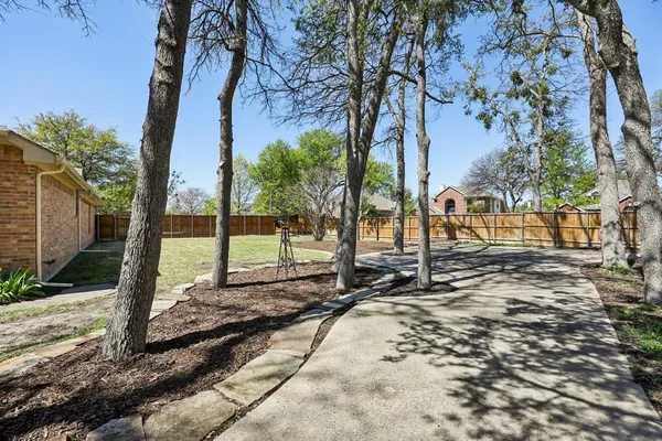 a view of backyard with tree