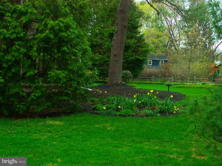 410 West Rose Valley Road Wallingford, PA 19086 - Photo 4 of 21 Exterior Back