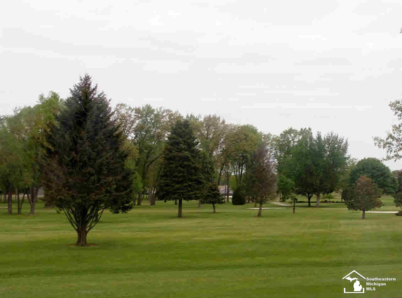 808 Golf Ridge Circle Dundee, MI 48131 - Photo 4 of 17 View of golf course