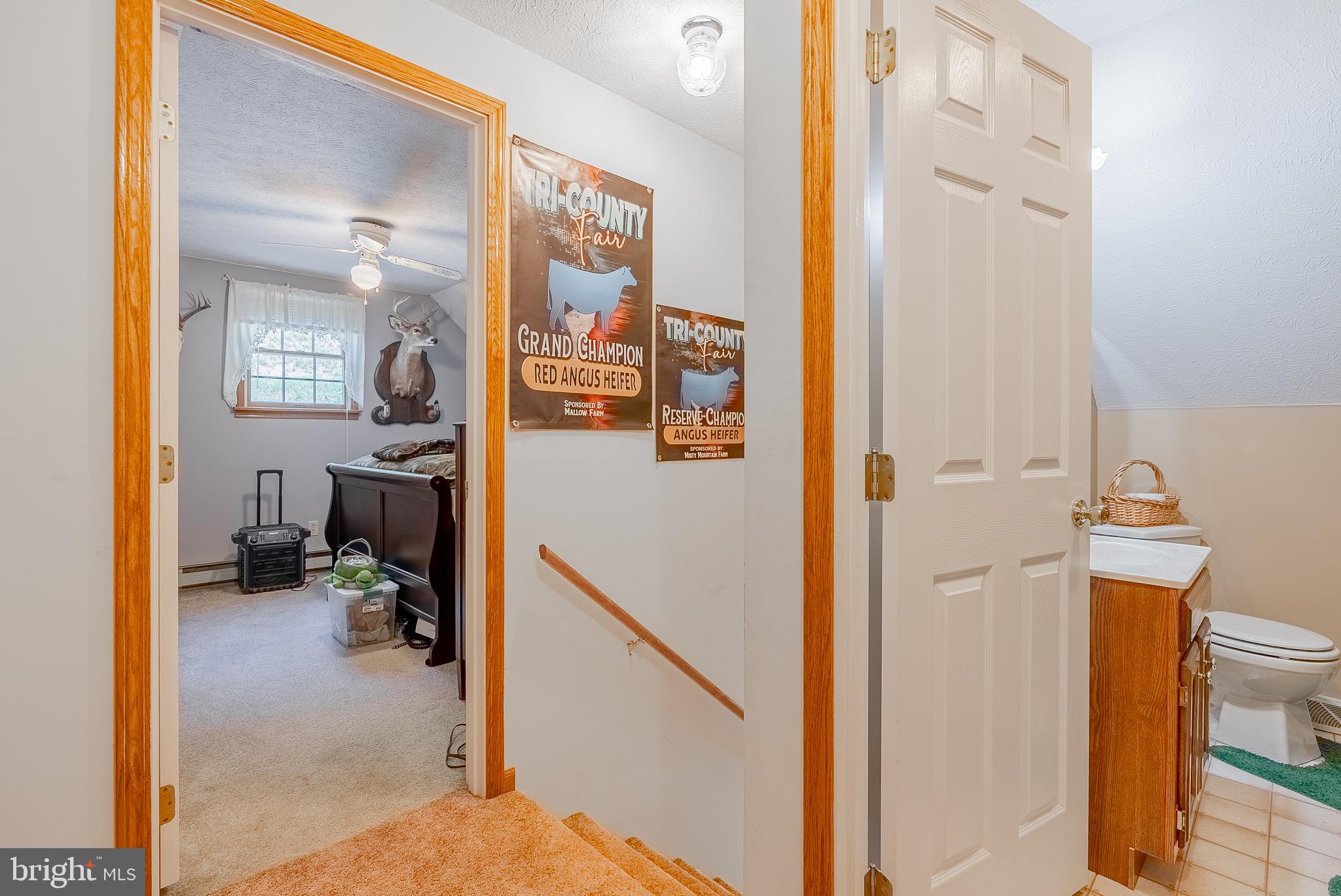 2084 Double Cribbs Road Burlington, WV 26710 - Photo 63 of 87