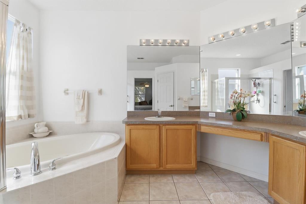 63 North Youngtree Point Lecanto, FL 34461 - Photo 22 of 48 a large bathroom with a granite countertop sink and a mirror