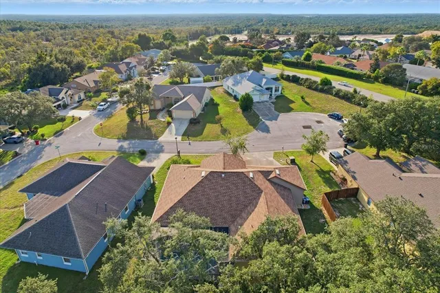 an aerial view of a house with a yard and flowers