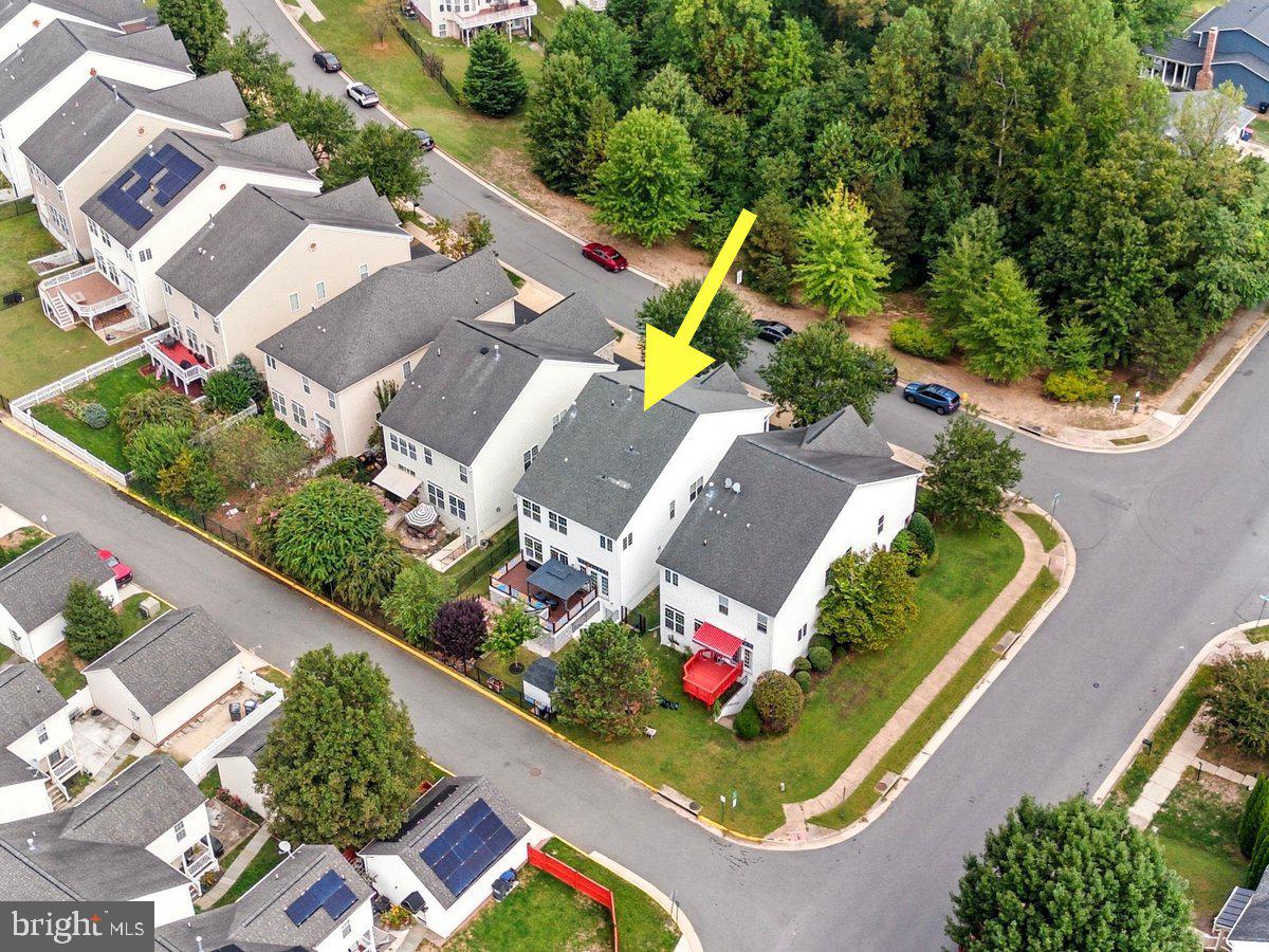 16216 Radburn Street Woodbridge, VA 22191 - Photo 51 of 64 Faces Tree Conservatory