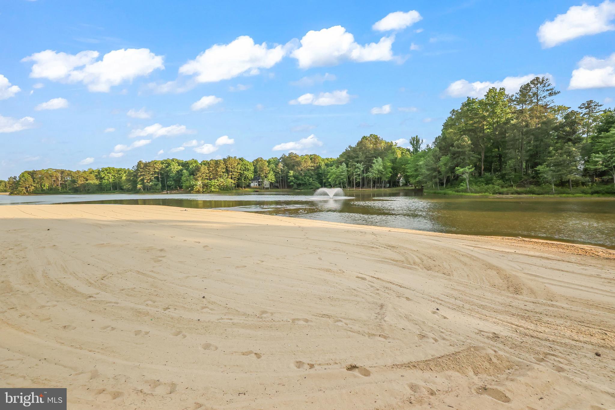 209 Estate Drive Ruther Glen, VA 22546 - Photo 50 of 53