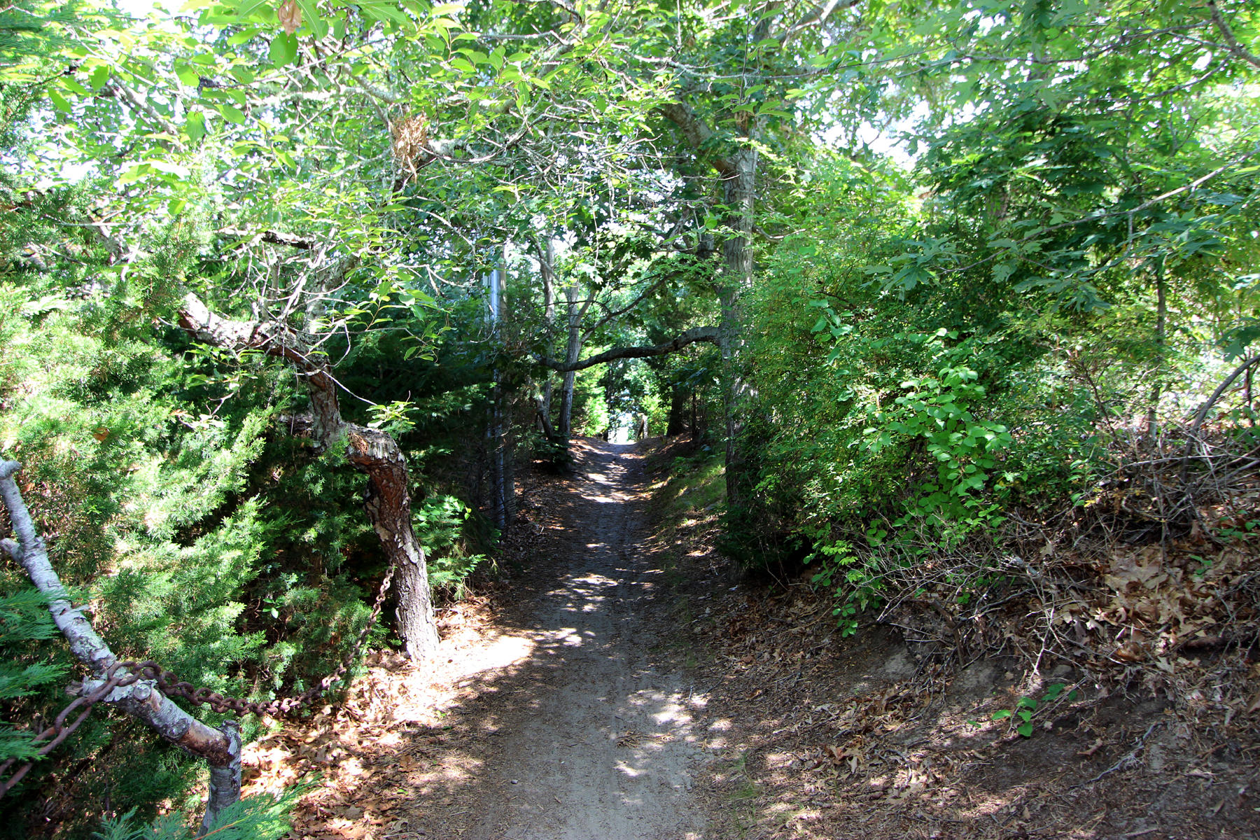 216 Cathedral Road Brewster, MA 02631 - Photo 15 of 56 IMG_5917