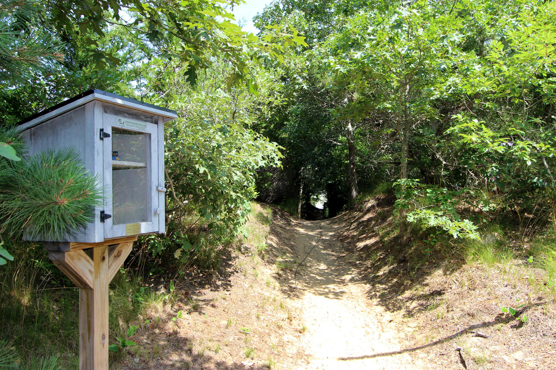 216 Cathedral Road Brewster, MA 02631 - Photo 41 of 56 a view of a house with a tree