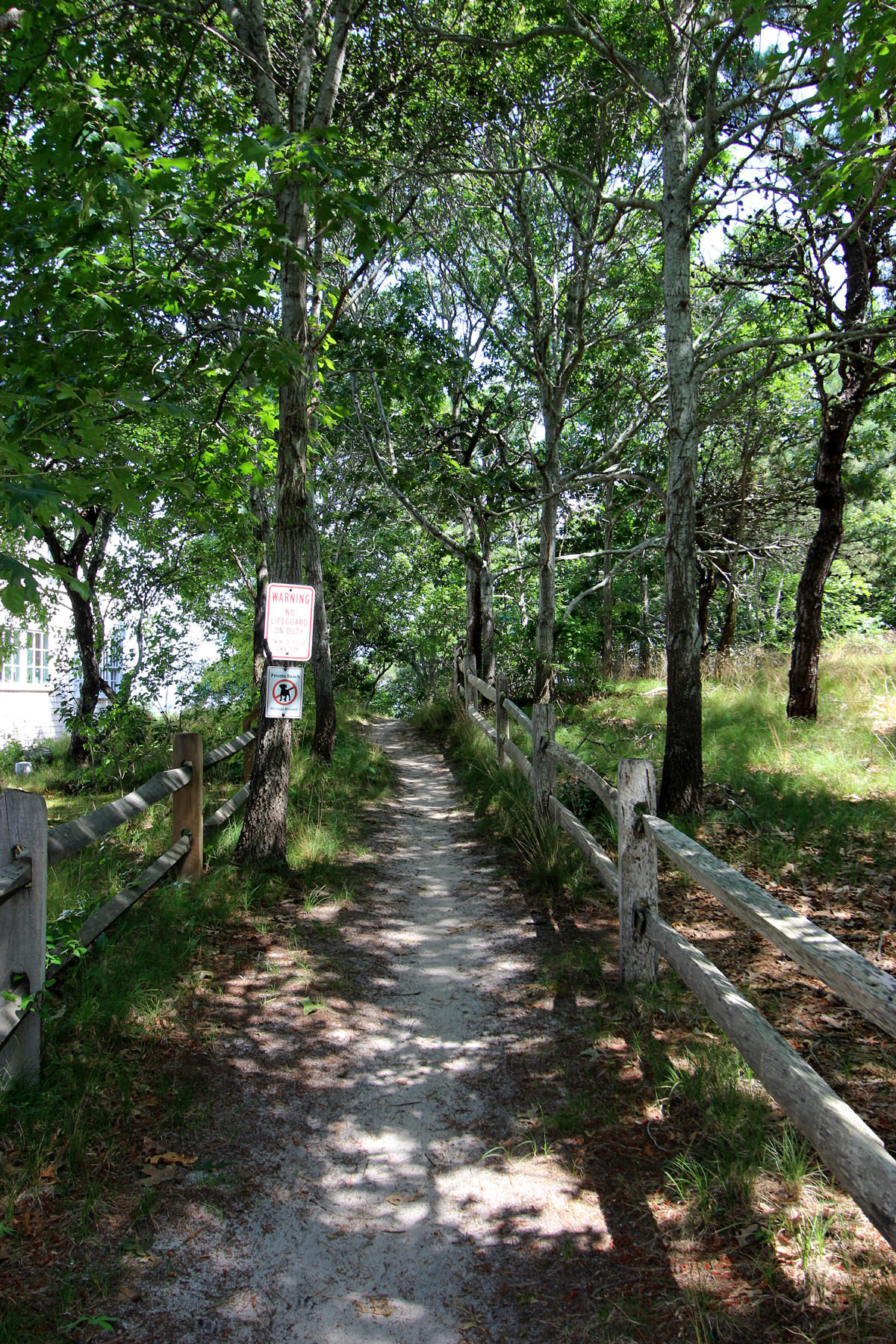 216 Cathedral Road Brewster, MA 02631 - Photo 51 of 56 a big yard with lots of green space and plants
