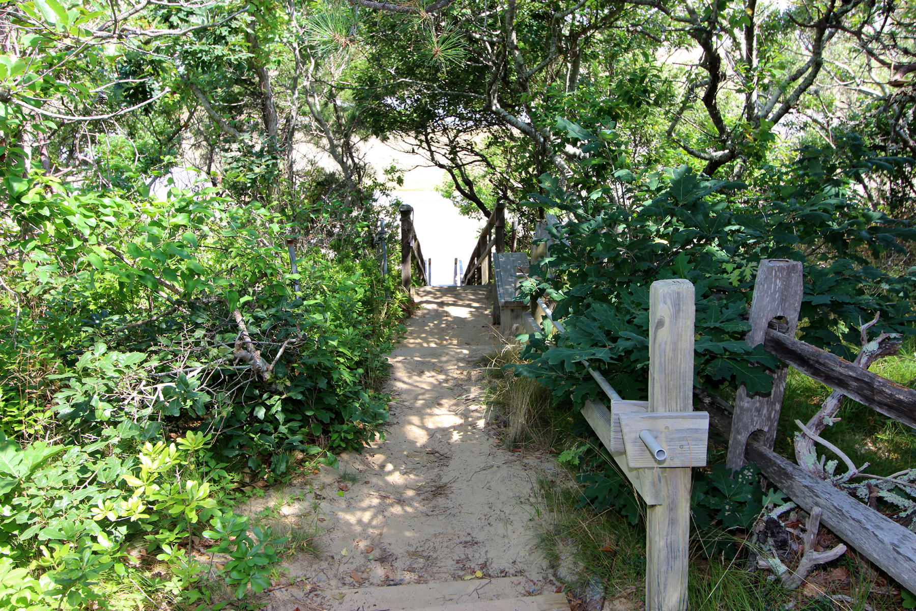 216 Cathedral Road Brewster, MA 02631 - Photo 52 of 56 IMG_5940