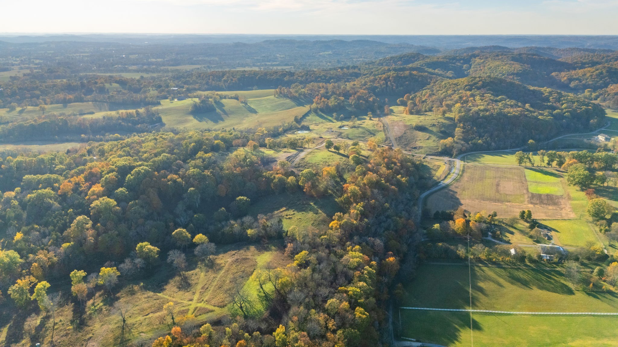 345 Brazier Lane Gallatin, TN 37066 - Photo 7 of 13