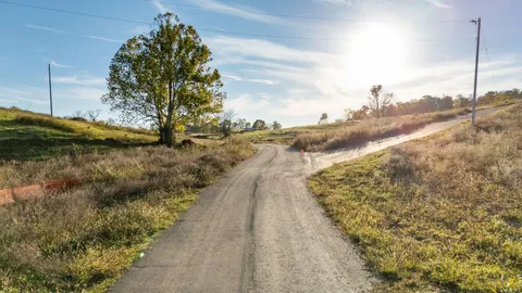 a view of a yard with a mountain
