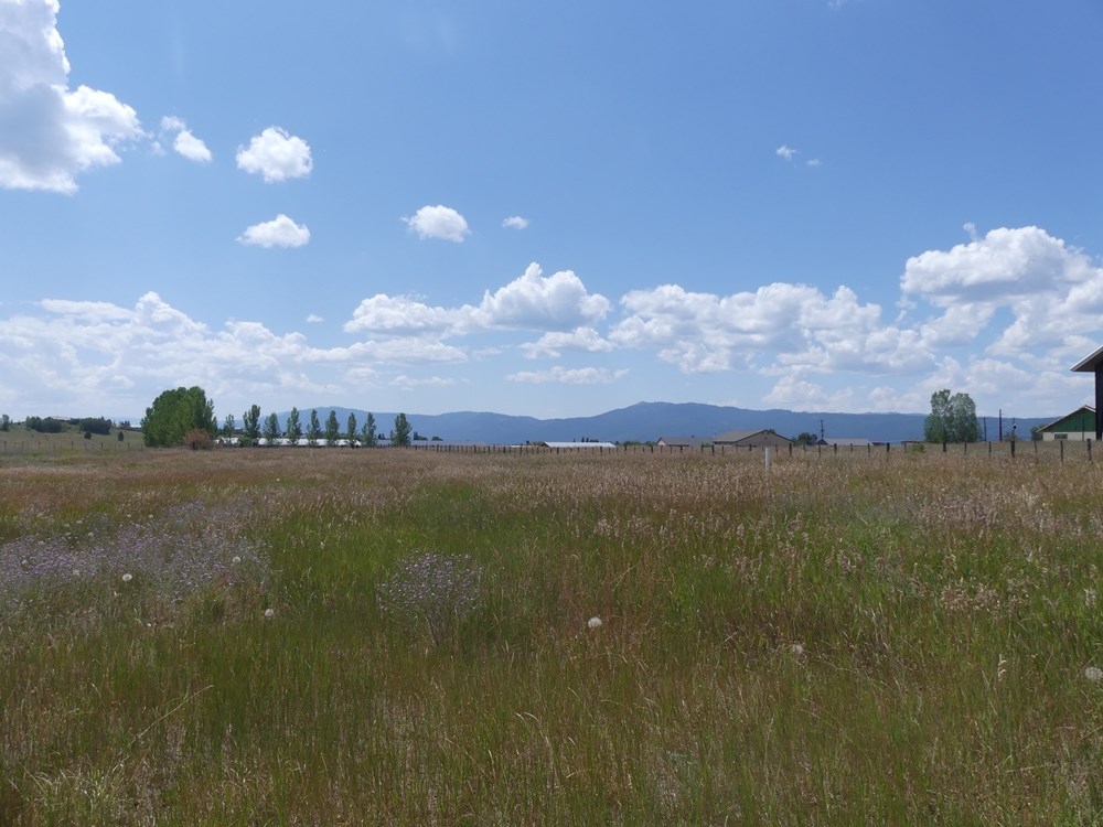 Lot 3 Springer Court, Unit 3 McCall, ID 83638 - Photo 5 of 11