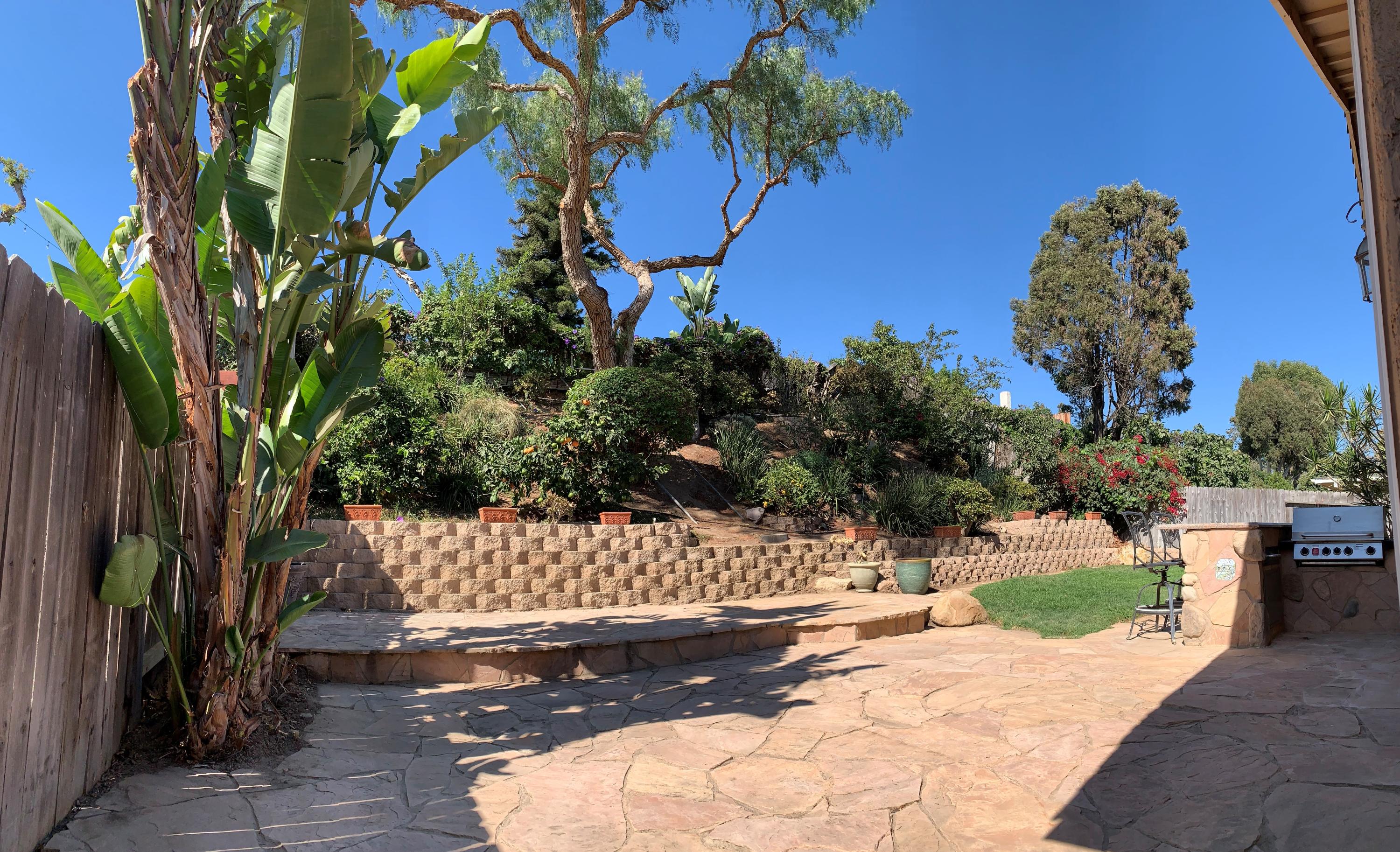 5785 Firebird Court Camarillo, CA 93012 - Photo 20 of 23 a view of a yard with plants