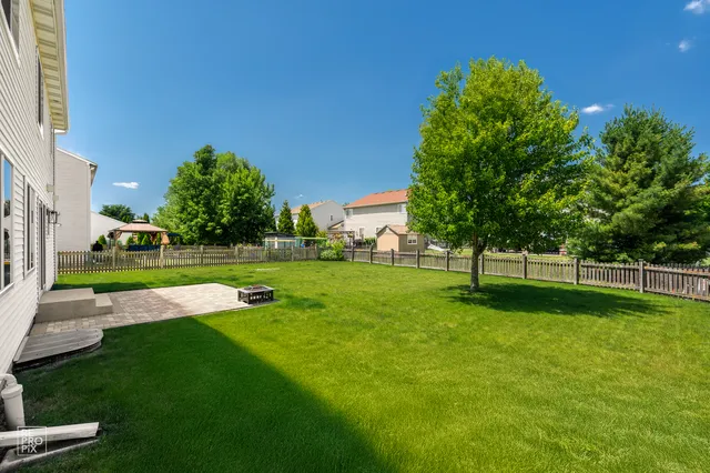 a view of a park with large trees