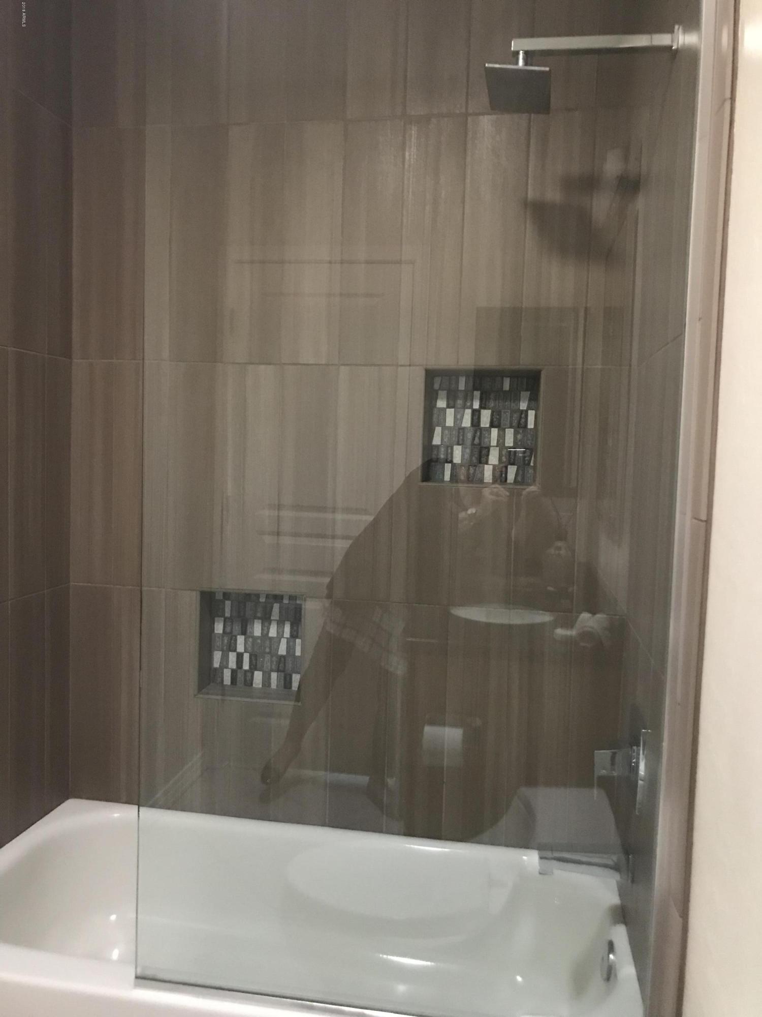 3919 East Carson Road Phoenix, AZ 85042 - Photo 20 of 48 Hall Bathroom