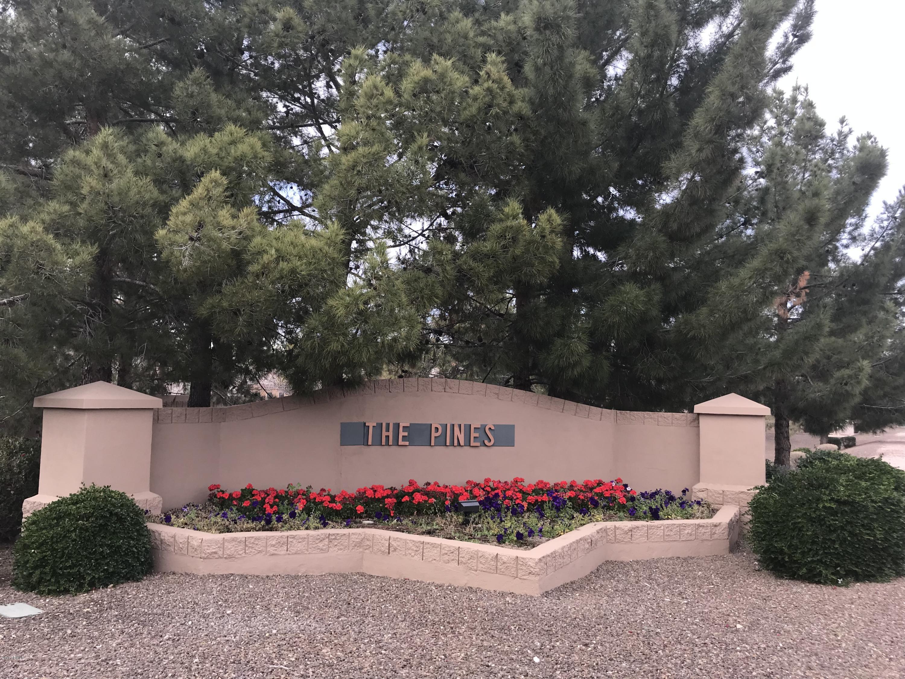 3919 East Carson Road Phoenix, AZ 85042 - Photo 40 of 48 Entrance to The Pines