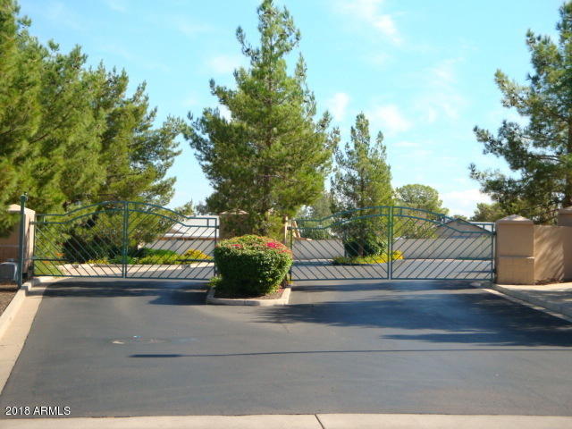 3919 East Carson Road Phoenix, AZ 85042 - Photo 41 of 48 The Pines gated Commnity