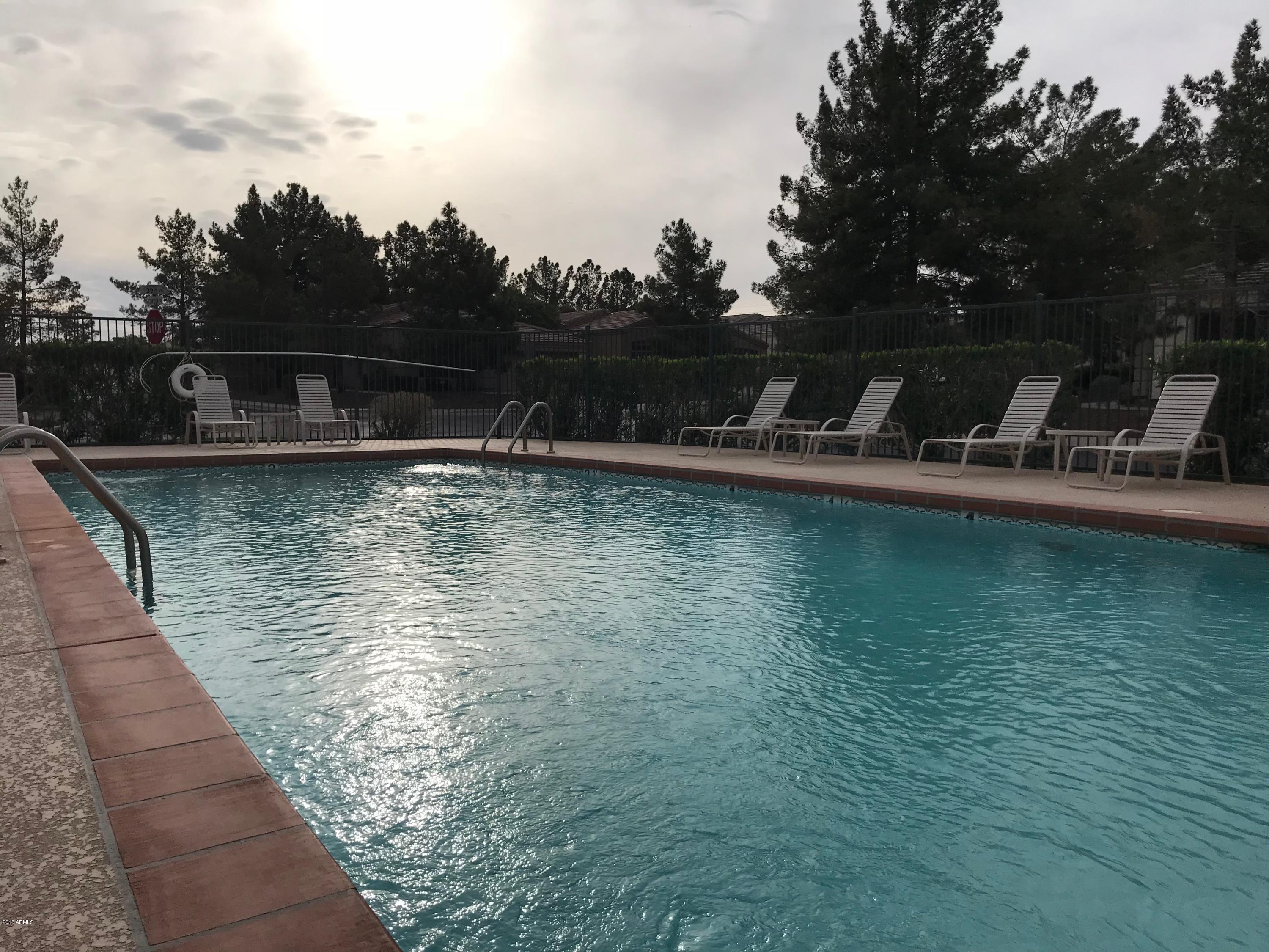 3919 East Carson Road Phoenix, AZ 85042 - Photo 42 of 48 Pool