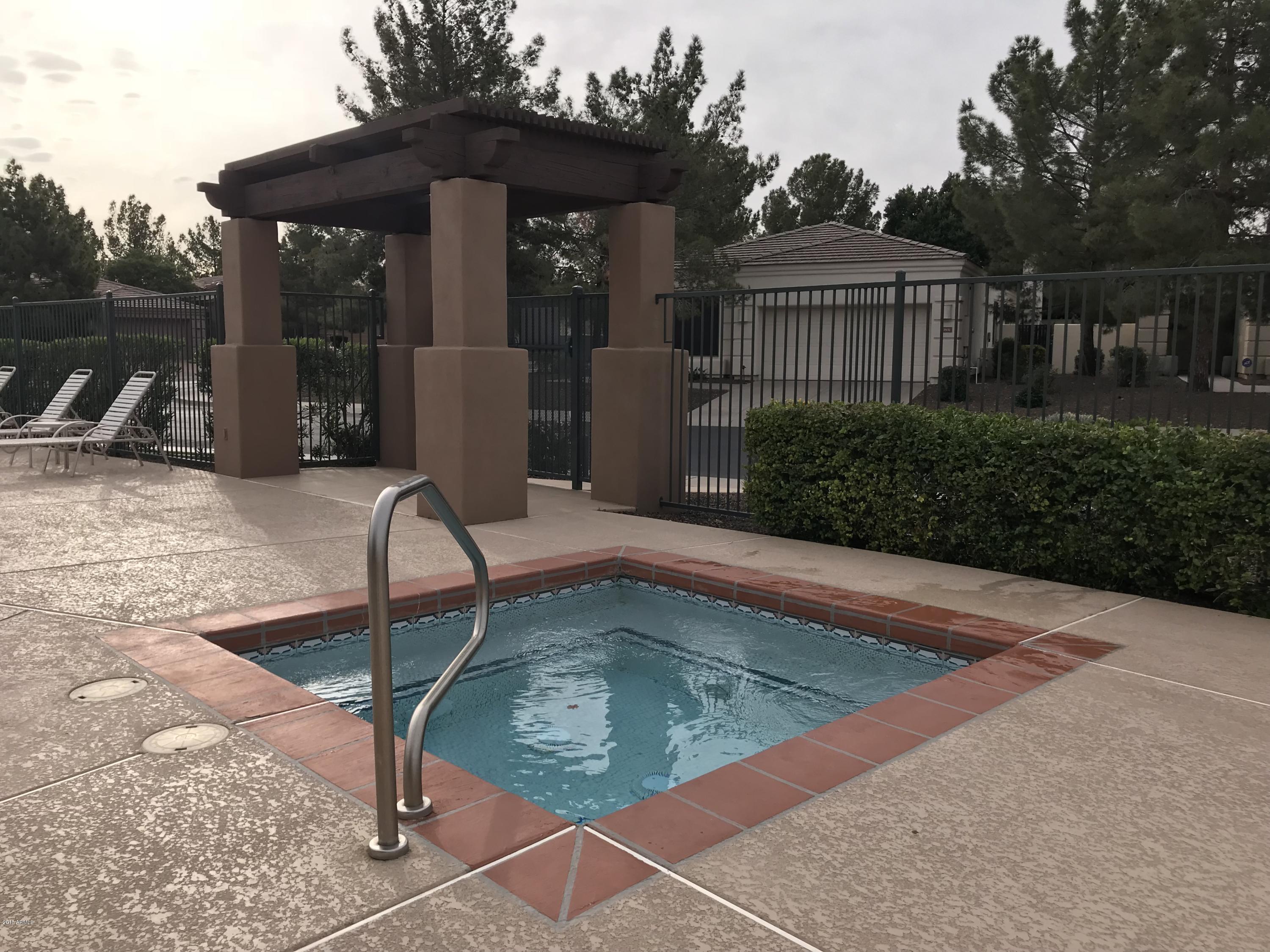 3919 East Carson Road Phoenix, AZ 85042 - Photo 44 of 48 Heated Spa