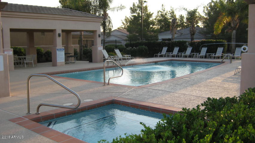 3919 East Carson Road Phoenix, AZ 85042 - Photo 45 of 48 Spa and Pool