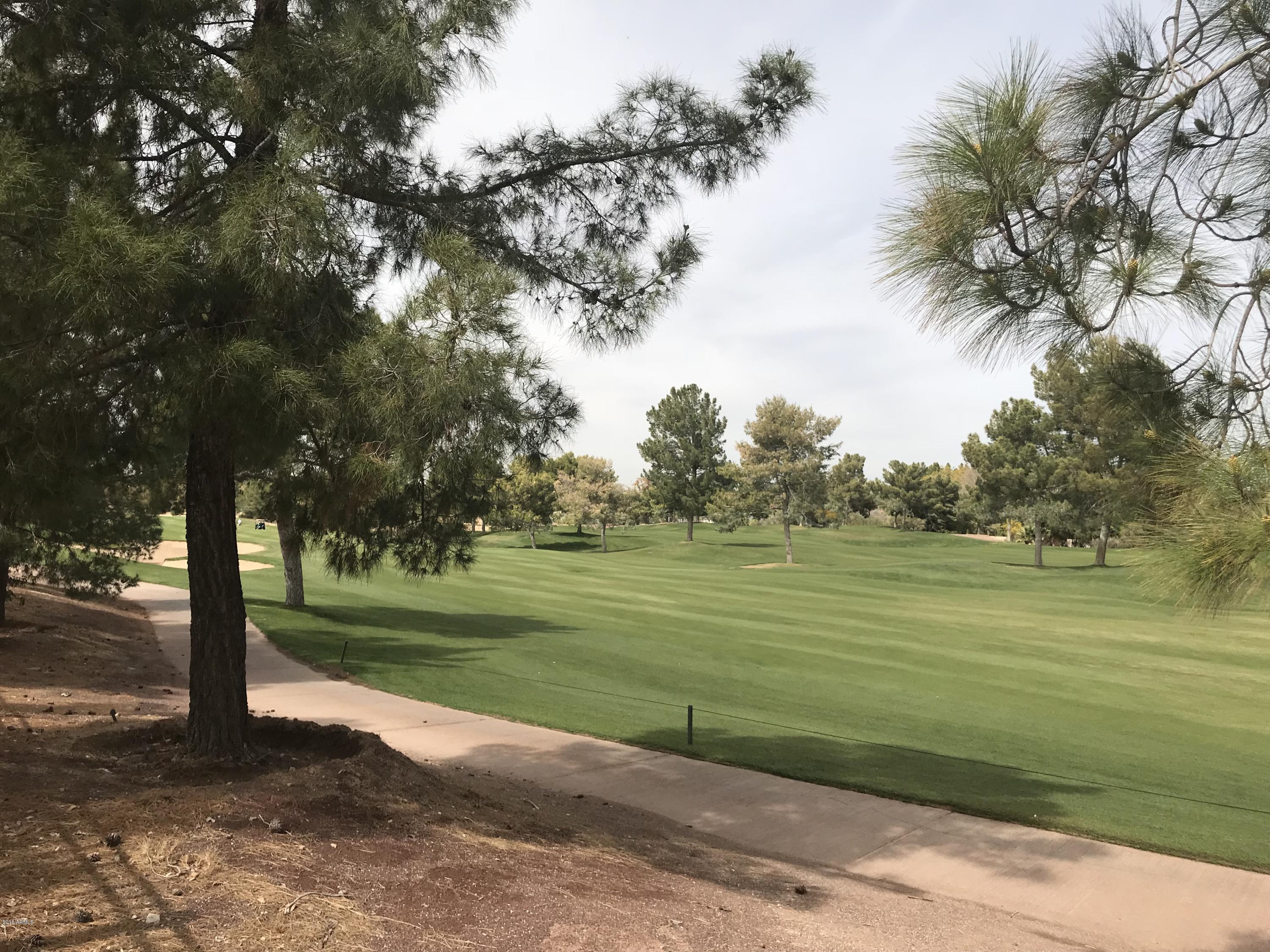 3919 East Carson Road Phoenix, AZ 85042 - Photo 47 of 48 Ravens Golf Course