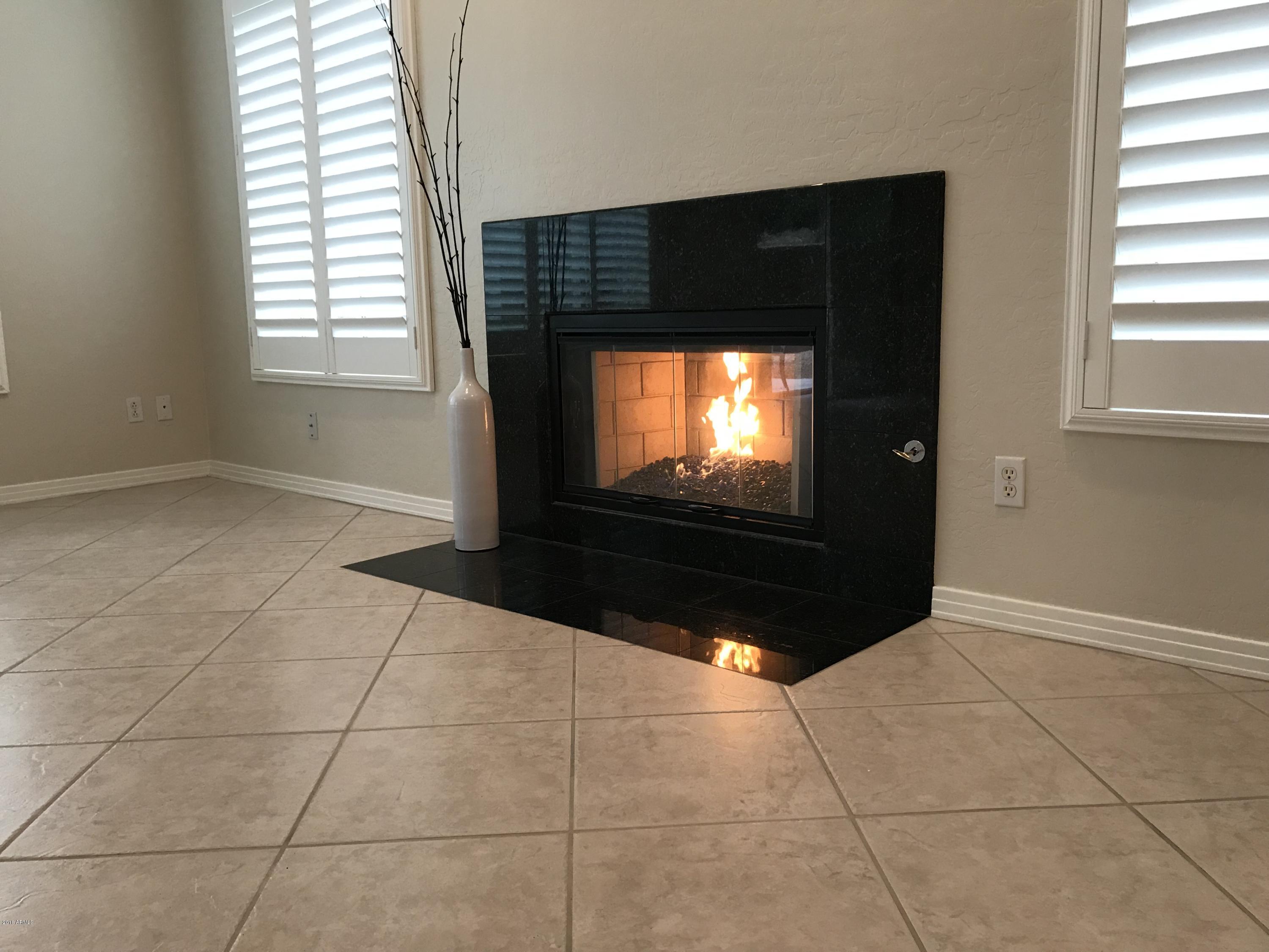 3919 East Carson Road Phoenix, AZ 85042 - Photo 7 of 48 Fireplace