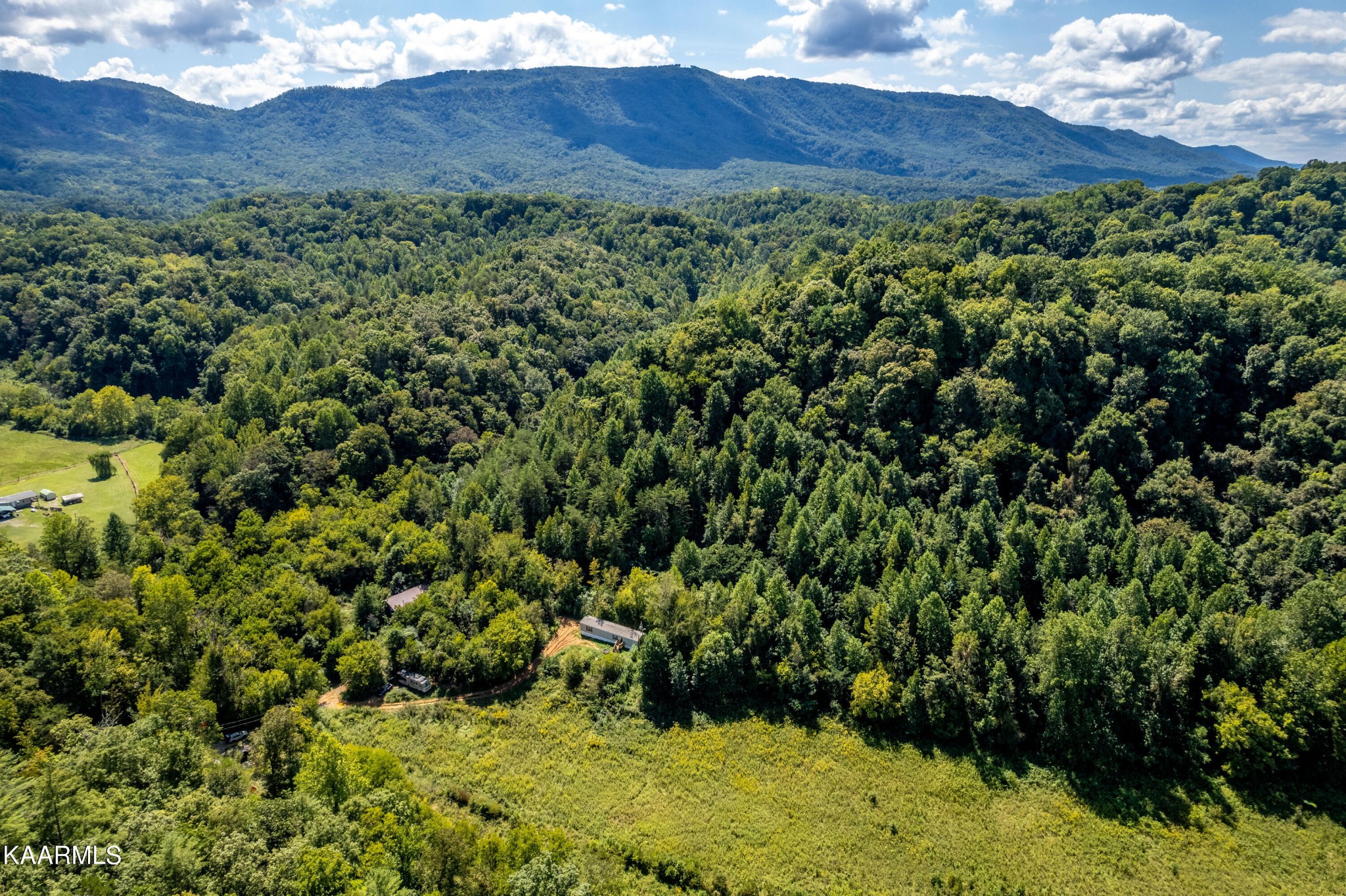 1455 Dripping Springs Road Seymour, TN 37865 - Photo 3 of 15 Gallery Image 3