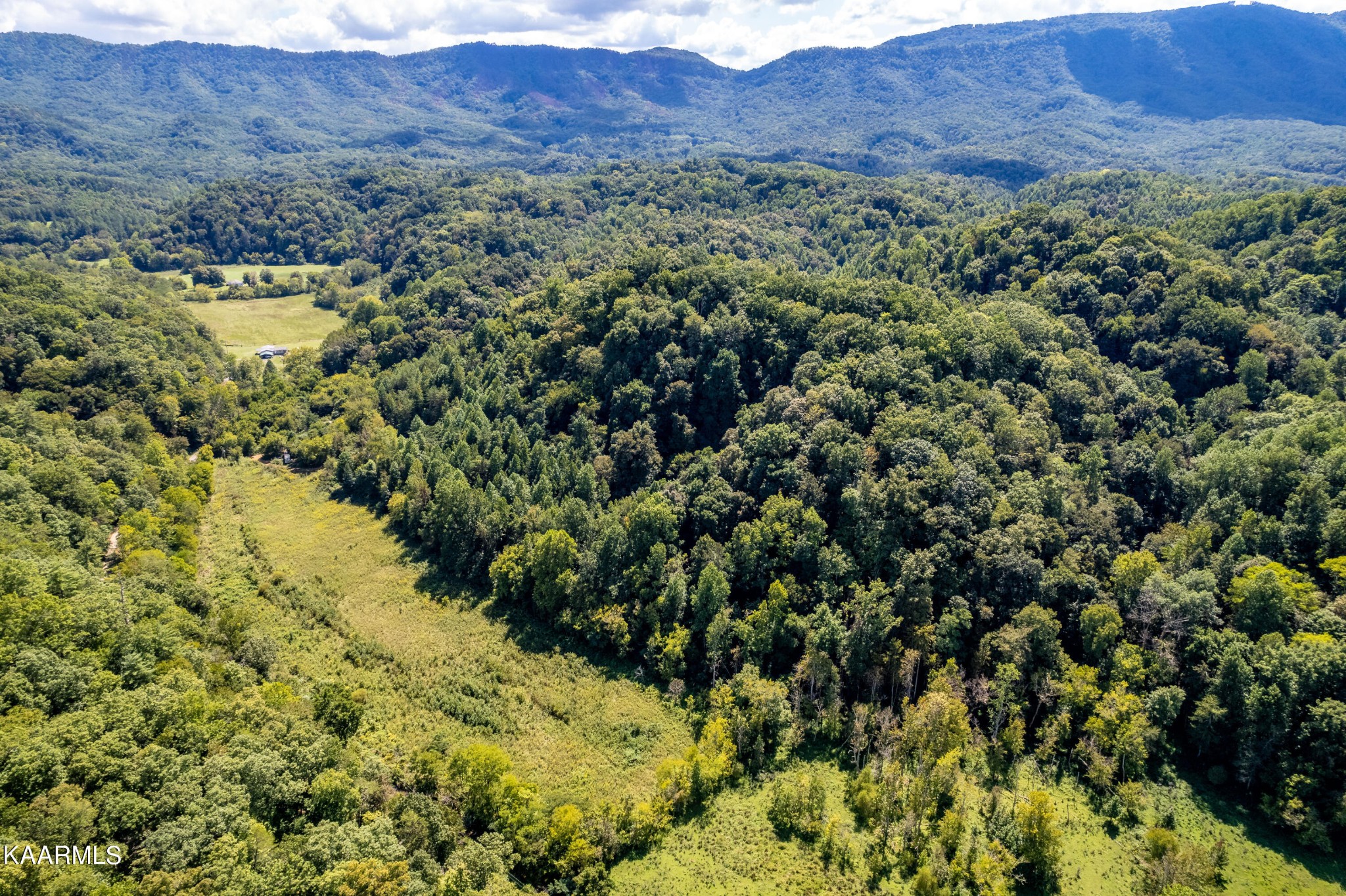 1455 Dripping Springs Road Seymour, TN 37865 - Photo 4 of 15 Gallery Image 4